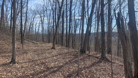 Meigs County Ohio land for sale. - image 14