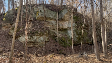 Meigs County Ohio land for sale. - image 32