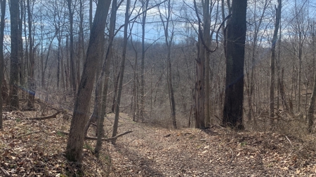 Meigs County Ohio land for sale. - image 6