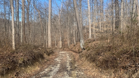 Meigs County Ohio land for sale. - image 4