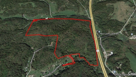 Meigs County Ohio land for sale. - image 48