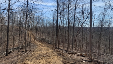 Meigs County Ohio land for sale. - image 25
