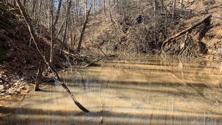 Meigs County Ohio land for sale. - image 29