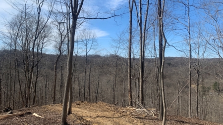 Meigs County Ohio land for sale. - image 23