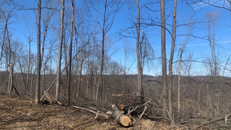 Meigs County Ohio land for sale. - image 19