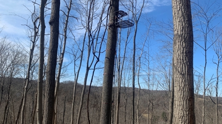 Meigs County Ohio land for sale. - image 21