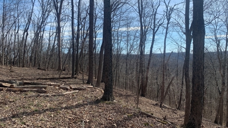 Meigs County Ohio land for sale. - image 16
