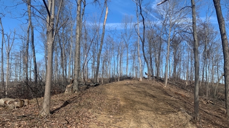 Meigs County Ohio land for sale. - image 18