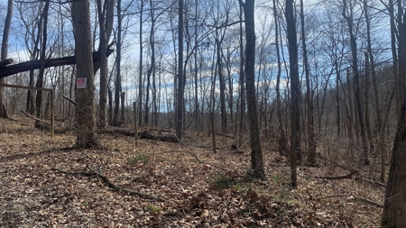 Meigs County Ohio land for sale. - image 5