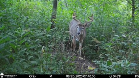Meigs County Ohio land for sale. - image 39