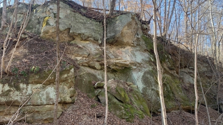 Meigs County Ohio land for sale. - image 33