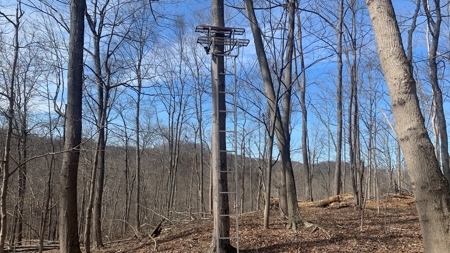 Meigs County Ohio land for sale. - image 15