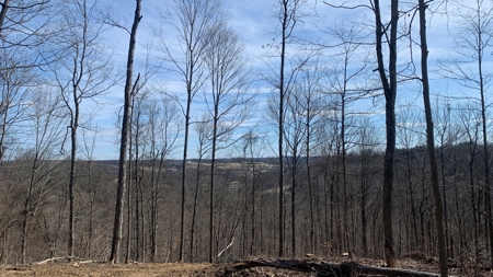 Meigs County Ohio land for sale. - image 26