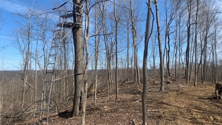 Meigs County Ohio land for sale. - image 24
