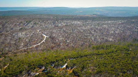 Hunting & Recreational Land For Sale Honobia Oklahoma - image 2