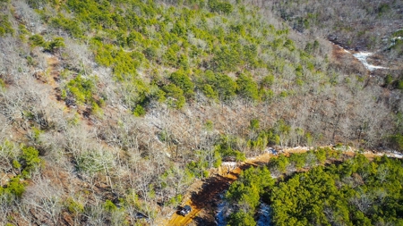 Hunting & Recreational Land For Sale Honobia Oklahoma - image 14