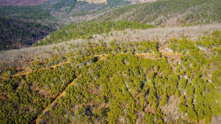 Hunting & Recreational Land For Sale Honobia Oklahoma - image 5