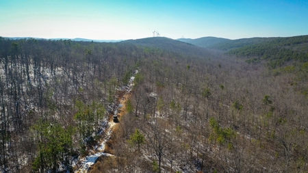 Hunting & Recreational Land For Sale Honobia Oklahoma - image 24