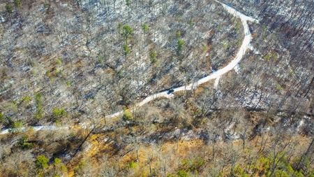 Hunting & Recreational Land For Sale Honobia Oklahoma - image 15