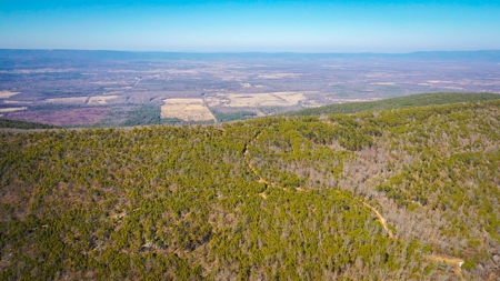 Hunting & Recreational Land For Sale Honobia Oklahoma - image 4