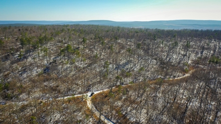 Hunting & Recreational Land For Sale Honobia Oklahoma - image 23