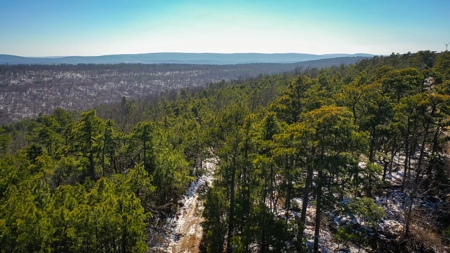 Hunting & Recreational Land For Sale Honobia Oklahoma - image 1