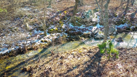 Hunting & Recreational Land For Sale Honobia Oklahoma - image 16