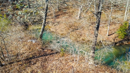 Hunting & Recreational Land For Sale Honobia Oklahoma - image 21
