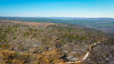 Hunting & Recreational Land For Sale Honobia Oklahoma - image 8