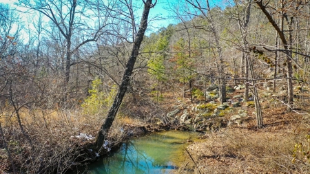 Hunting & Recreational Land For Sale Honobia Oklahoma - image 18
