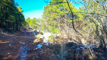 Hunting & Recreational Land For Sale Honobia Oklahoma - image 22