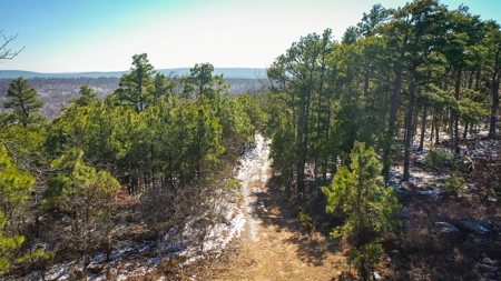 Hunting & Recreational Land For Sale Honobia Oklahoma - image 12