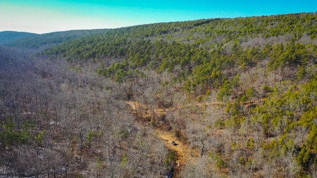 Hunting & Recreational Land For Sale Honobia Oklahoma - image 25