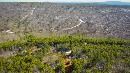 Hunting & Recreational Land For Sale Honobia Oklahoma - image 13