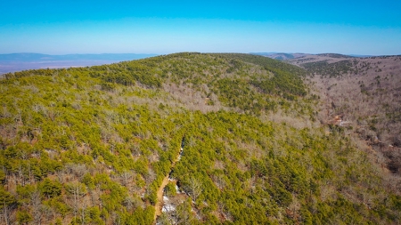 Hunting & Recreational Land For Sale Honobia Oklahoma - image 10
