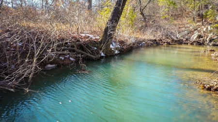 Hunting & Recreational Land For Sale Honobia Oklahoma - image 20