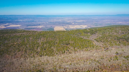Hunting & Recreational Land For Sale Honobia Oklahoma - image 3