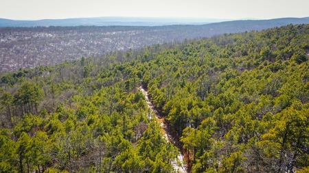 Hunting & Recreational Land For Sale Honobia Oklahoma - image 11