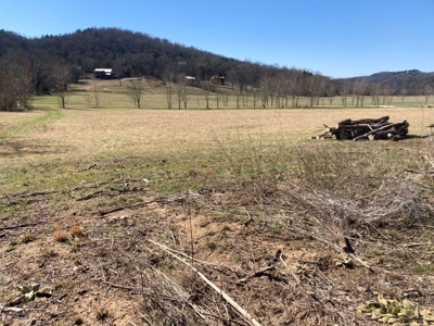 White River Building Lot For Sale - image 22