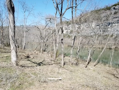 White River Building Lot For Sale - image 7