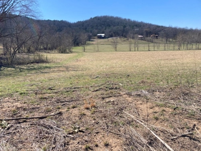 White River Building Lot For Sale - image 21