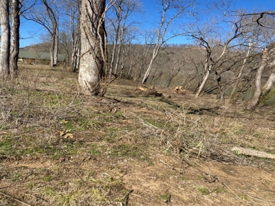 White River Building Lot For Sale - image 23