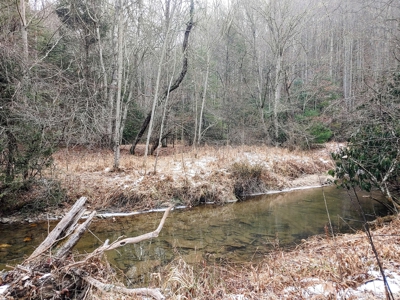Farm for Sale in Willis VA - image 26