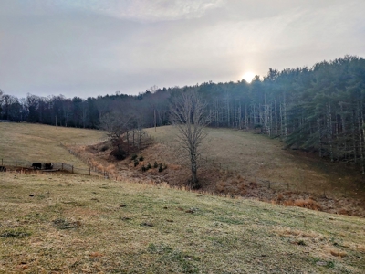 Farm for Sale in Willis VA - image 6