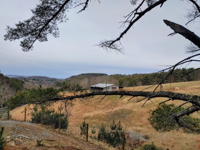 Farm for Sale in Willis VA - image 32