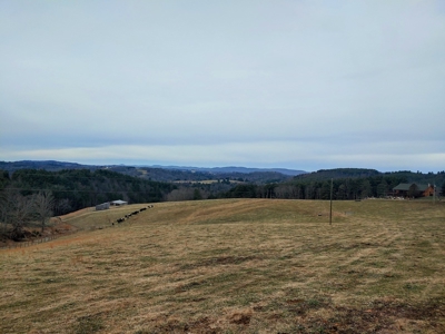 Farm for Sale in Willis VA - image 1