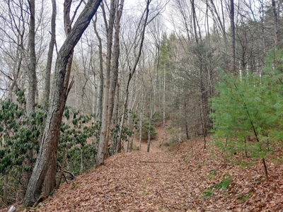 Farm for Sale in Willis VA - image 27