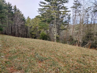 Farm for Sale in Willis VA - image 35