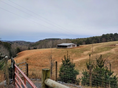 Farm for Sale in Willis VA - image 33