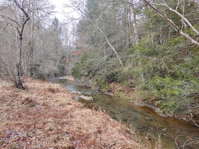 Farm for Sale in Willis VA - image 22
